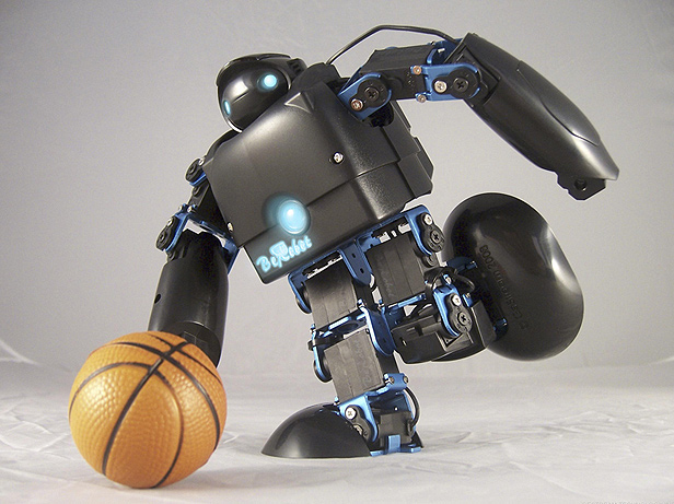 Berobot Dünyanın en küçük insansı robotu