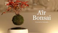 Air Bonsai