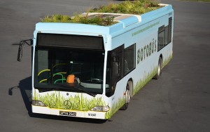 Botanik otobüs Botobüs