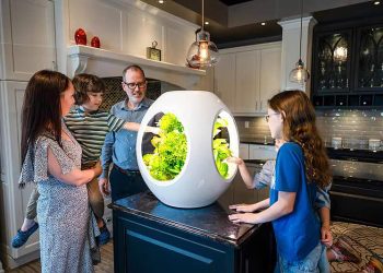 İç mekanlar için otomatik beslemeli mini bahçe