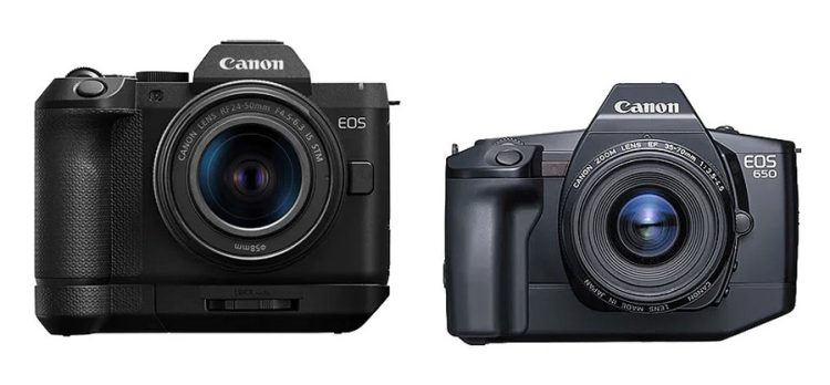 Canon R8 II DSLR