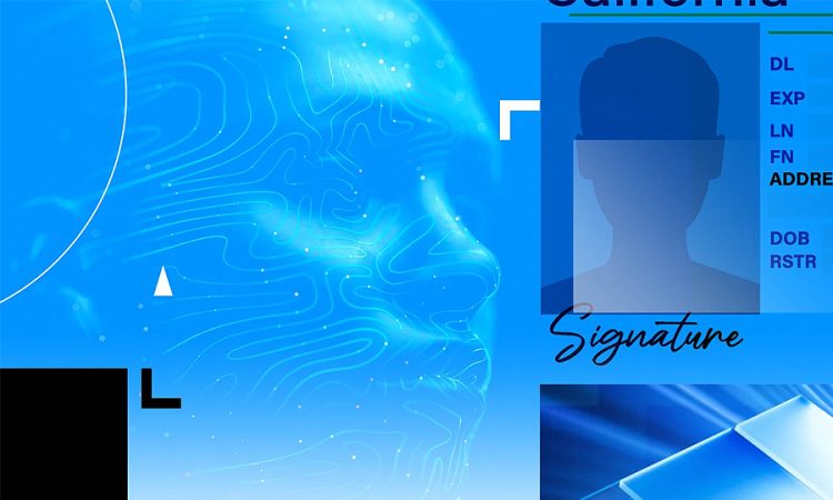 Windows 11 kimlik doğrulama
